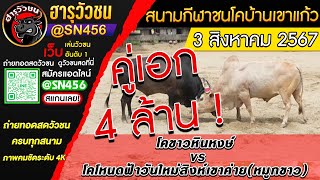 คลิปย้อนหลัง 3/8/2567 ขาวหินหงษ์ (หินหงษ์) พบ โหนดฟ้าวันใหม่สิงห์เขาค่าย (หมูกขาว) #วัวชนใต้ #วัวชน