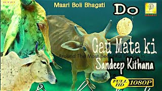 New Gau Mata Song Sandeep KIthana | Do Roti gau Mata Ki | Gau mata Bhajan | maari boli bhakti