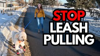 STOP Leash Pulling With These 2 Simple Training Methods