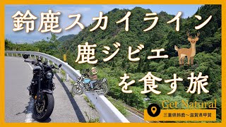 【ツーリング】 鈴鹿スカイライン  ジビエ 【XSR900】 motorcycle touring　 motorbike touring  japanese motorcycle