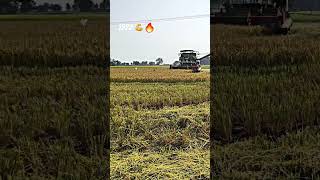 hmt 7522   75hp   harvesting rice 💪🌾🔥