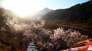 Geography of China 20170504  Strange Things in the Old Village Part 2 | CCTV