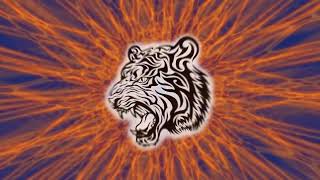 321 Hz | Energy source | Wisdom of the Water Tiger | Secret Knowledge.