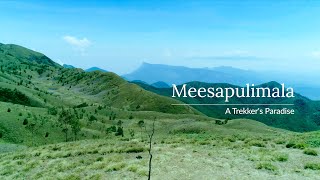 Meesapulimala | #GoOffBeatinKerala | Kerala 365 | Kerala Tourism