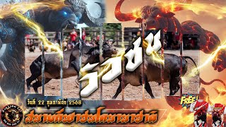 🔴#ถ่ายทอดสดวัวชนวันนี้ |สนามชนโคนานชาติ |วันที่ 22 ก.พ. 68 #วัวชน #วัวชนวันนี้ #ถ่ายทอดสดวัวชน