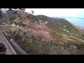 gixxer ジクサー 桜舞う春の瀬戸内国立公園　野呂山 桜日和　 広島県呉市