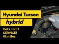 2024 Hyundai Tucson hybrid: oil service and reset procedure