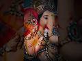 Ganesh Chaturthi #ganesha #ganpatibappamorya