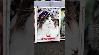 猫が働く駅 芦ノ牧温泉駅