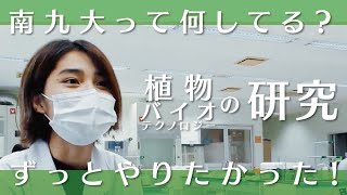 【授業のぞき見！】植物バイオが学びたい！知識と技術が同時に身につく【植物バイオ育種実験Ⅰ】