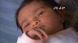 Video in Dari: Newborn Screening in Ontario