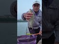 大风大浪降温很明显，但是不耽误钓大鱼！ fishing 钓鱼 釣魚