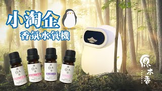 【原木香】小淘企 水氧機推薦 精油 天然精油 舒眠 放鬆