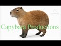 Capybara productions intro