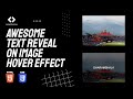 Awesome Text Reveal on Image Hover Effect | HTML CSS