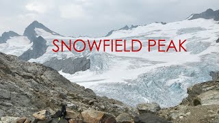 Snowfield Peak