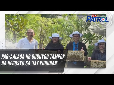 Pag-aalaga ng bubuyog tampok na negosyo sa ‘My Puhunan’ | TV Patrol