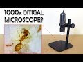 1000x Digital Microscope Review | Sample images | Gearbest