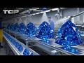 Inside the Lab-Grown Diamond Factory - How Scientists Create Real Diamonds in 2 Weeks