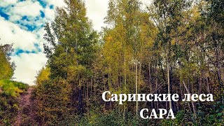 Оренбургская область Сара Саринские леса | #forest 🏕