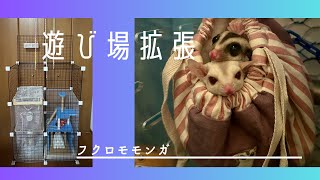 [飼育日記56][ケージ改良]フクロモモンガの遊び場の拡張！