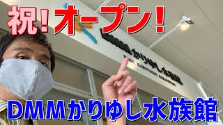 祝オープン！DMMかりゆし水族館！【前編】沖縄美ら海水族館に続く2個目の水族館が豊見城市にできたよ ～沖縄県民が紹介する観光地 #25 #OKINAWA #aquarium