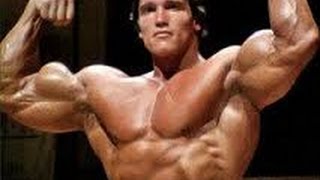 Arnold Schwarzenegger Workout   6 rules of success speech   with subtitles HD   YouTube