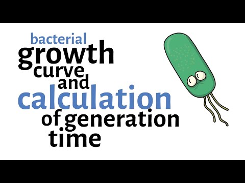 Which of the following phases of the bacterial growth curve is matched with?