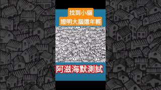 挑戰!你大腦現在幾歲 #考眼力 #阿滋海默症 #阿滋海默測試 #巴式量表 #老人測試 #退化 #找出不同之处 #找不同 #找茬游戏