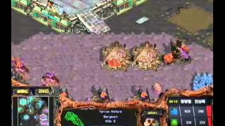 [2008.09.26] 인크루트 스타리그 2008 16강 C조 6경기 (플라즈마) 정영철(Zerg) vs 전상욱(Terran)