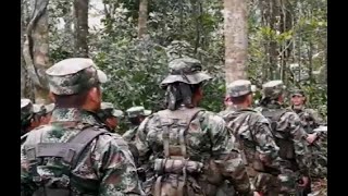 Piden ayuda del Gobierno en Putumayo por enfrentamientos de disidencias de las FARC