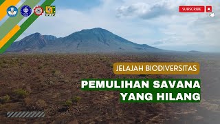 Jelajah Biodiversitas: Pemulihan Savana yang Hilang