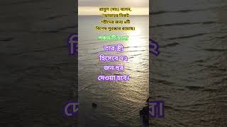 শহীদের বিশেষ মর্যাদা ফজিলত