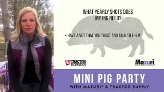 Raising Mini Pigs: Health \u0026 Nutrition