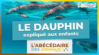 A la découverte du Dauphin - l'Abécédaire des Animaux