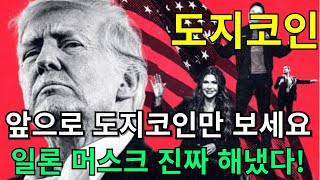 [ 도지코인 전망 ] 앞으로 도지코인만 보세요! 일론머스크 진짜 해냈다!