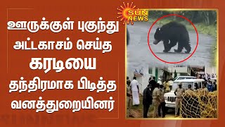 ஊருக்குள் புகுந்து அட்டகாசம் செய்த கரடியை தந்திரமாக பிடித்த வனத்துறையினர்