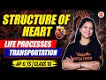 Life Processes| Transportation | STRUCTURE OF HEART | AP & TS | Class 10