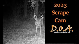 Scrape Camera / Rut Action DOA  Dorward Outdoor Adventures