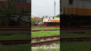 Pantau Kereta Api Di Lintas