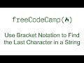 Use Bracket Notation to Find the Last Character in a String - Free Code Camp
