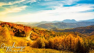 Seasons Nature Sound #16 | Piano Sound in Autumn Atmosphere