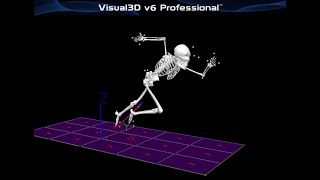 Visual 3D Tutorial 1— Create Model Template