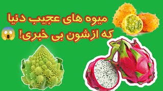 ۱۰ میوه عجیب دنیا|میوه عجیب