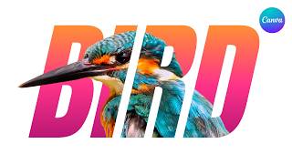 Canva Text Effect Tutorial 2026: Viral & Easy Step-by-Step