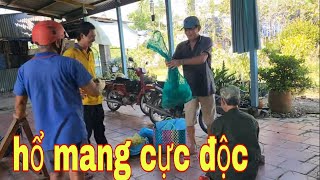 Mặt Không Còn Miếng Máu Khi Bắt Rắn Hổ Mang Cực Độc Ở Lai Vung # SĂN BẮT ĐỒNG THÁP #