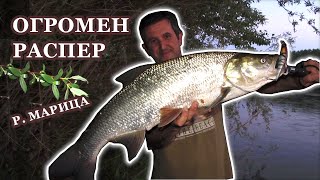 Улов на ОГРОМЕН Распер с Плиткогазещ Воблер Retro Fire Cat 2/ Catching HUGE Asp with Handmade Lure