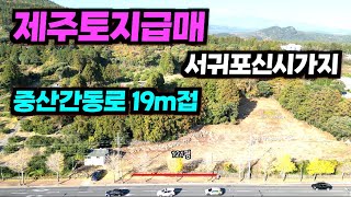 NO.115 서귀포신시가지 중산간동로 19m 접한 기반시설 완비된 귀한 소형근린상가부지급매