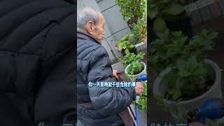 95岁的爷爷总是在浇花“进行时”！防不胜防！#我的爷爷 #多陪陪老人 #记录生活 #关爱老人 #斌哥一家人