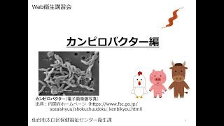 Web衛生講習会　カンピロバクター編